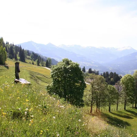 Chalet In Hopfgarten Brixental In Ski Area *