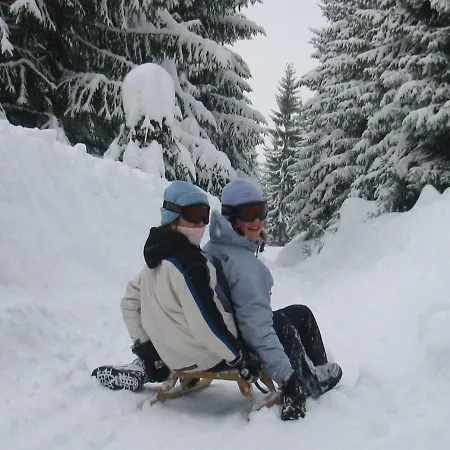 Chalet Chalet In Hopfgarten Brixental In Ski Area *