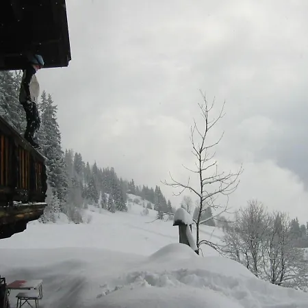 Chalet Sunlit Near Area In